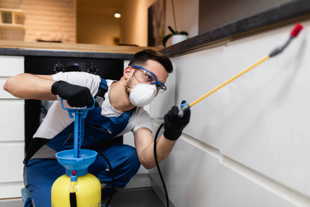 Best Residential Pest Control  in Nescopeck, PA