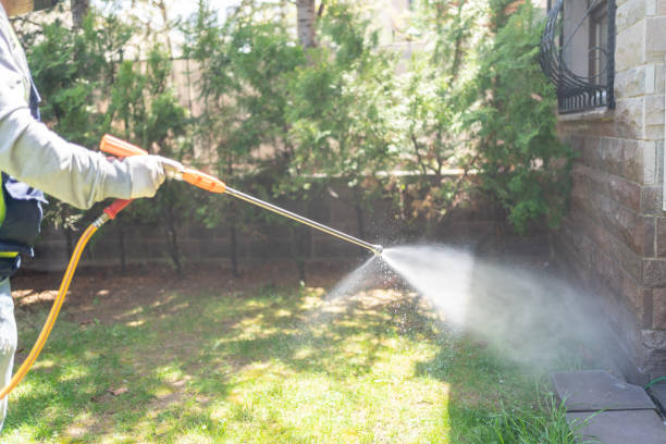 Best Mosquito Control Services  in Nescopeck, PA