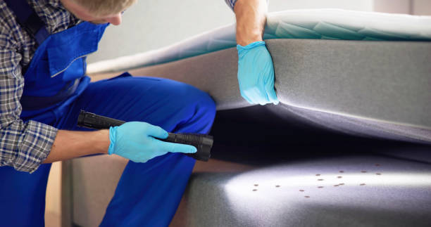 Best Rat Extermination Near Me  in Nescopeck, PA