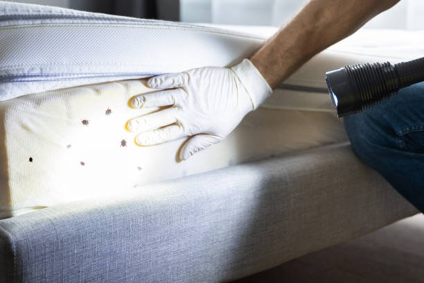 Best Wildlife Control Services  in Nescopeck, PA